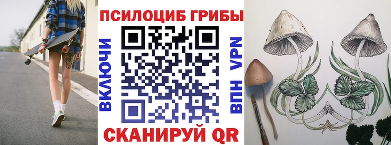 Псилоцибиновые грибы MAGIC MUSHROOMS  Купить где  Тобольск 